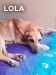 Lola-01