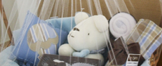 Baby Chocolate