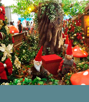 A Chegada do Papai Noel!