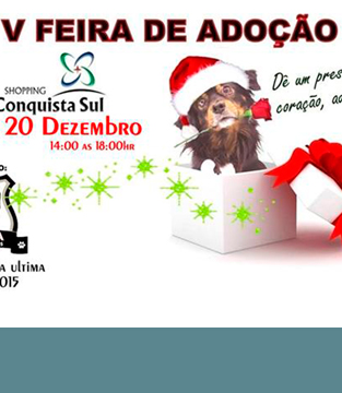 V  Feira de Adoção de Filhotes