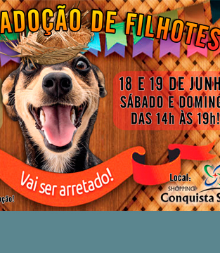 Feira de Adoção de Filhotes Feira de Adoção de Filhotes